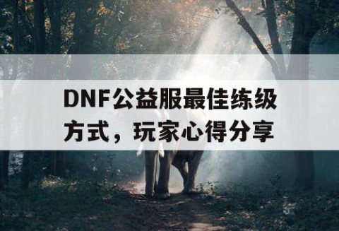 DNF公益服最佳练级方式，玩家心得分享