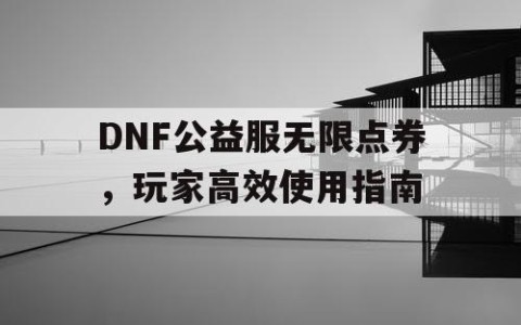 DNF公益服无限点券，玩家高效使用指南