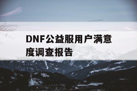 DNF公益服用户满意度调查报告