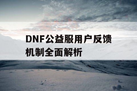 DNF公益服用户反馈机制全面解析