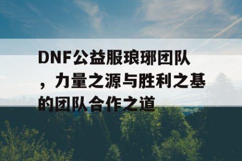 DNF公益服琅琊团队，力量之源与胜利之基的团队合作之道