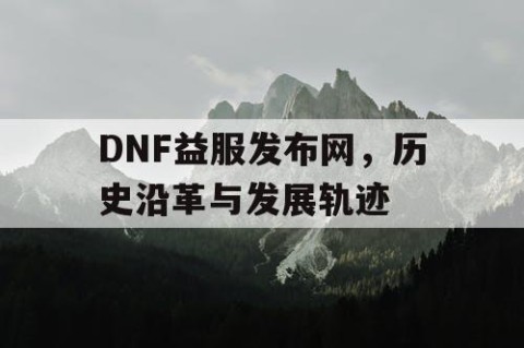 DNF益服发布网，历史沿革与发展轨迹