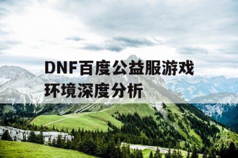 DNF百度公益服游戏环境深度分析