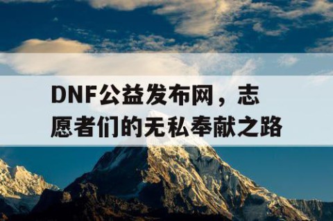 DNF公益发布网，志愿者们的无私奉献之路