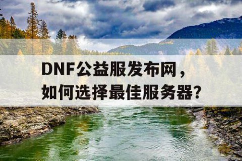 DNF公益服发布网，如何选择最佳服务器？