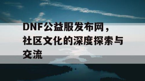 DNF公益服发布网，社区文化的深度探索与交流