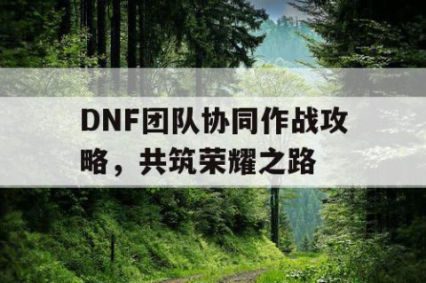 DNF团队协同作战攻略，共筑荣耀之路