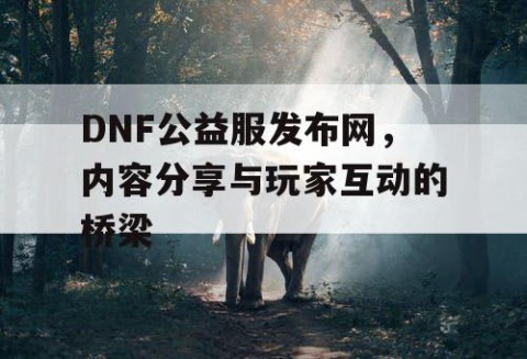 DNF公益服发布网，内容分享与玩家互动的桥梁