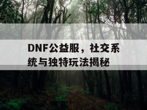 DNF公益服，社交系统与独特玩法揭秘