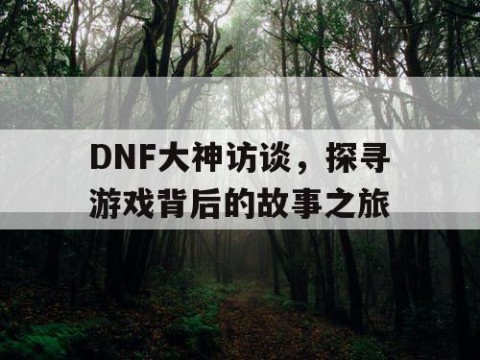 DNF大神访谈，探寻游戏背后的故事之旅