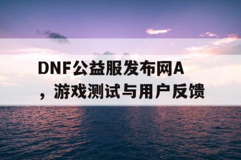 DNF公益服发布网A，游戏测试与用户反馈