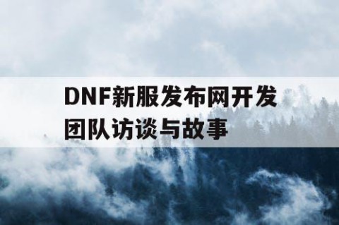 DNF新服发布网开发团队访谈与故事