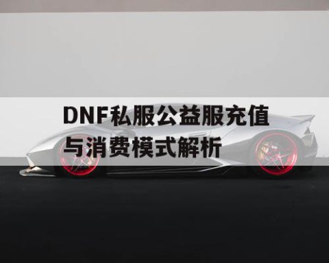 DNF私服公益服充值与消费模式解析