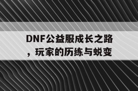 DNF公益服成长之路，玩家的历练与蜕变