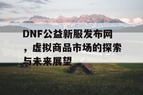 DNF公益新服发布网，虚拟商品市场的探索与未来展望