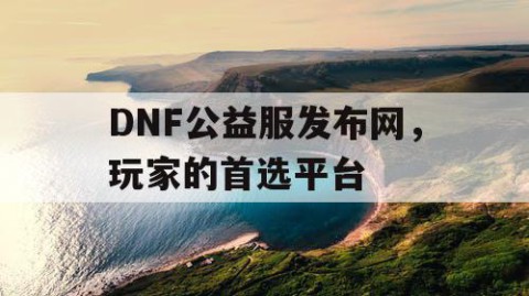 DNF公益服发布网，玩家的首选平台