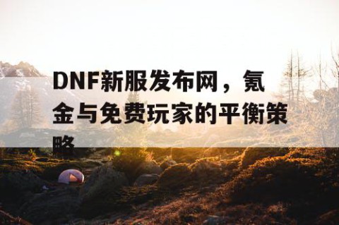 DNF新服发布网，氪金与免费玩家的平衡策略