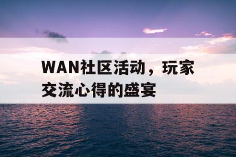 WAN社区活动，玩家交流心得的盛宴