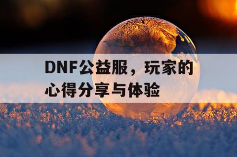 DNF公益服，玩家的心得分享与体验