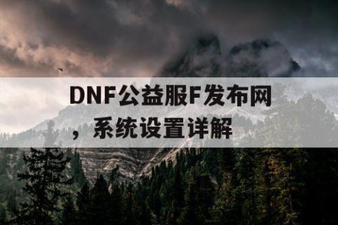 DNF公益服F发布网，系统设置详解