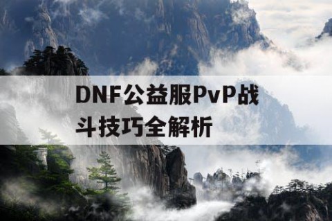 DNF公益服PvP战斗技巧全解析