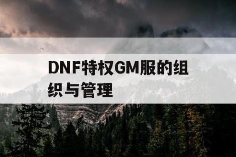 DNF特权GM服的组织与管理