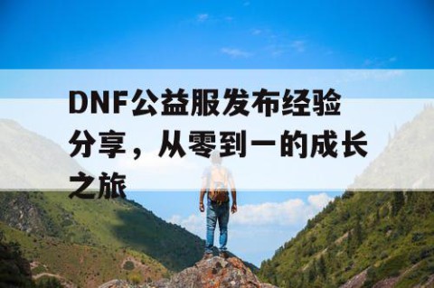 DNF公益服发布经验分享，从零到一的成长之旅