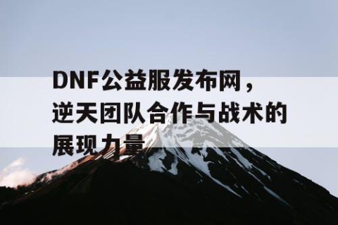 DNF公益服发布网，逆天团队合作与战术的展现力量