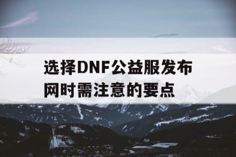 选择DNF公益服发布网时需注意的要点