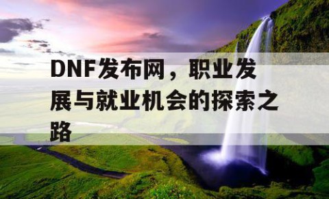 DNF发布网，职业发展与就业机会的探索之路