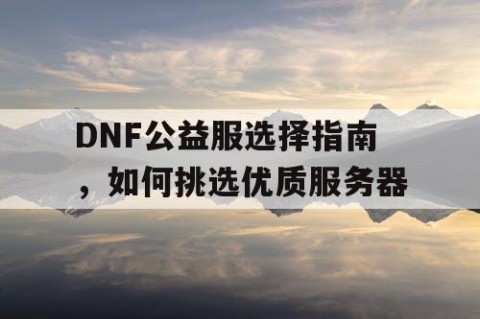 DNF公益服选择指南，如何挑选优质服务器