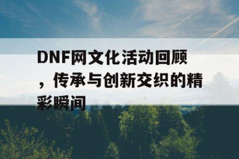 DNF网文化活动回顾，传承与创新交织的精彩瞬间