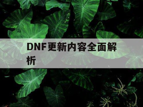 DNF更新内容全面解析