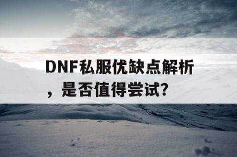 DNF私服优缺点解析，是否值得尝试？