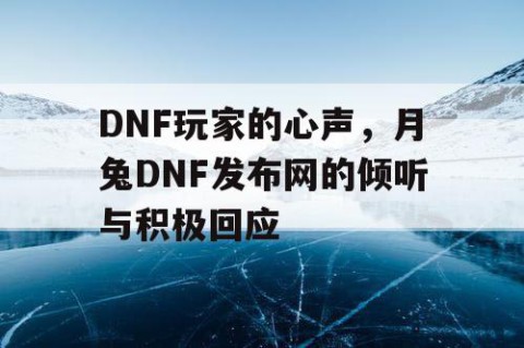 DNF玩家的心声，月兔DNF发布网的倾听与积极回应