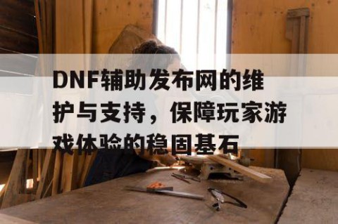 DNF辅助发布网的维护与支持，保障玩家游戏体验的稳固基石