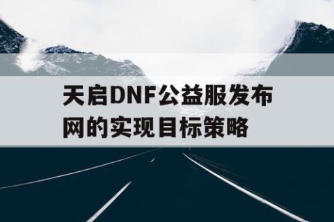 天启DNF公益服发布网的实现目标策略