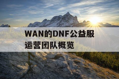 WAN的DNF公益服运营团队概览