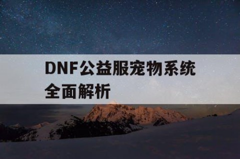 DNF公益服宠物系统全面解析