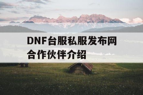 DNF台服私服发布网合作伙伴介绍