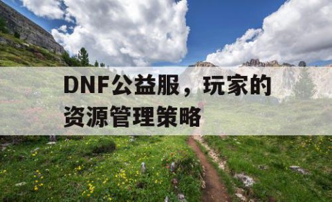 DNF公益服，玩家的资源管理策略