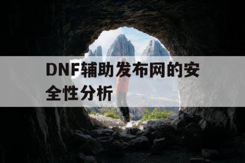 DNF辅助发布网的安全性分析