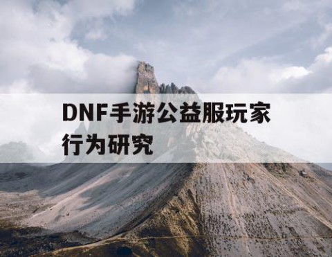 DNF手游公益服玩家行为研究