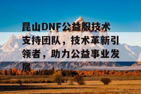 昆山DNF公益服技术支持团队，技术革新引领者，助力公益事业发展