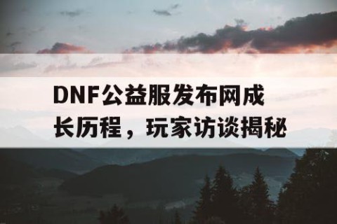 DNF公益服发布网成长历程，玩家访谈揭秘