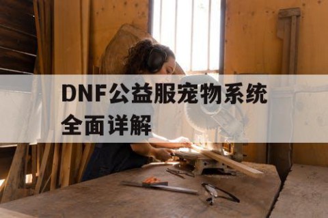 DNF公益服宠物系统全面详解