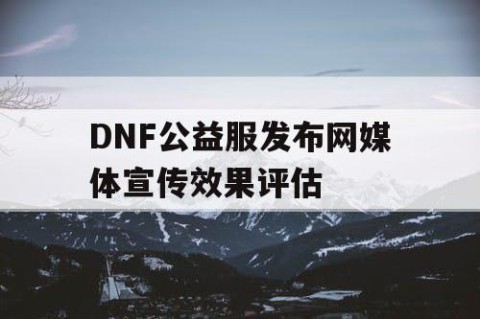 DNF公益服发布网媒体宣传效果评估