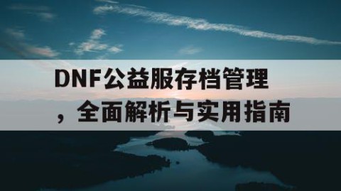 DNF公益服存档管理，全面解析与实用指南