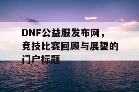 DNF公益服发布网，竞技比赛回顾与展望的门户标题