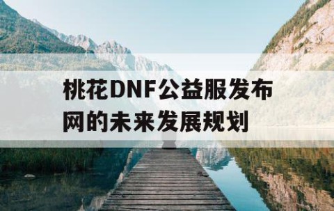 桃花DNF公益服发布网的未来发展规划